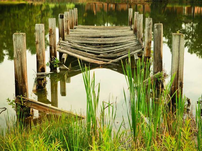 Modern E-commerce Platform - Image 2