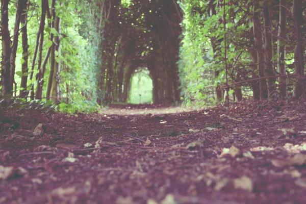 Wedding Photography Collection